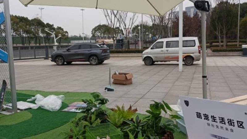 行业背景：平面设计的重要性与人才需求